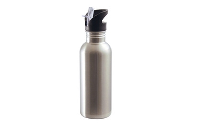 Steel Straw Metal Bottle 600 ML