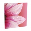 /us-4674-semi-gloss-white-photo-panel/chromaluxe/blanks-dye-sub/sublimation//product.html