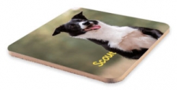 /us-6025-new-mdf-cork-back-coasters/unisub-blanks/blanks-dye-sub/sublimation//product.html